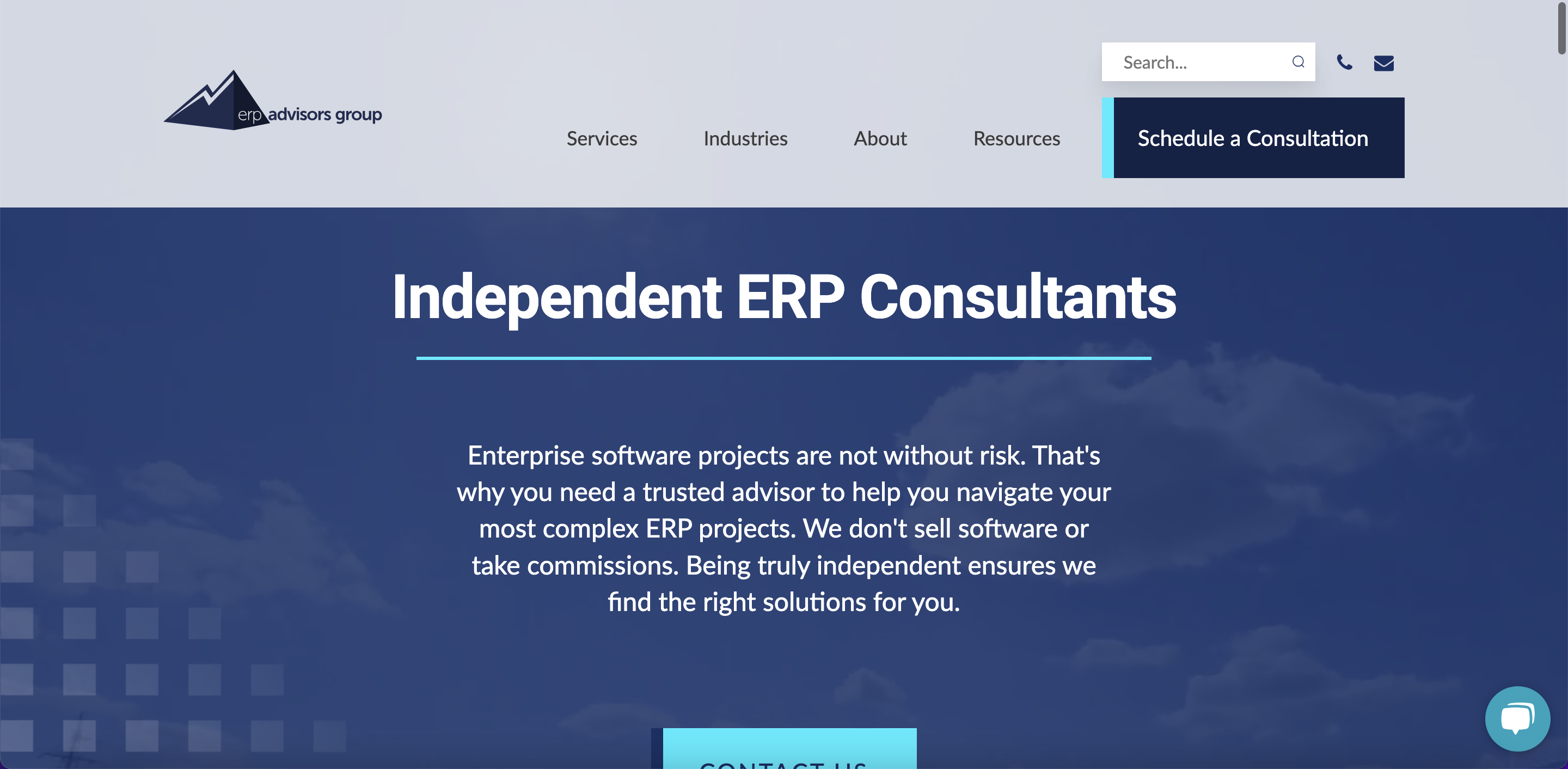 ERP Advisors Group